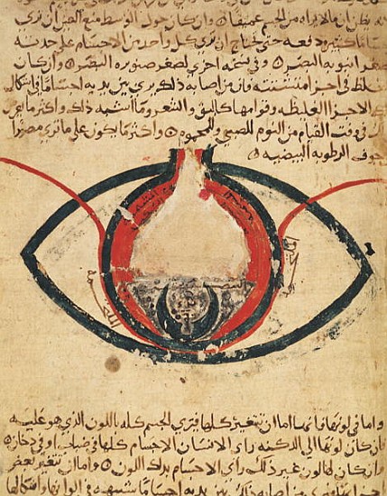 Anatomy of the Eye, from a book on eye diseases from Al-Mutadibi