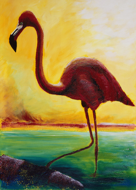Flamingo from Arthelga