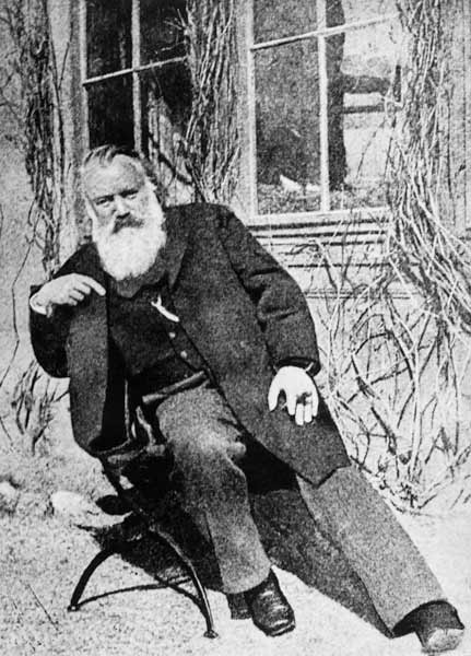Johannes Brahms, c.1897 from Austrian Photographer