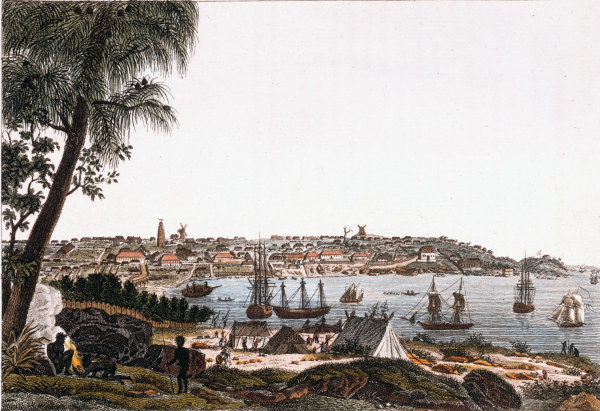 Sydney, view of the city from Bertuch