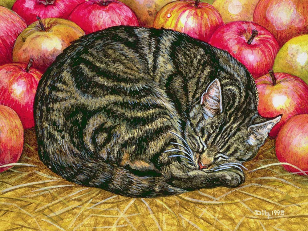 Left-Hand Apple-Cat, 1995 (acrylic on panel)  from Ditz 