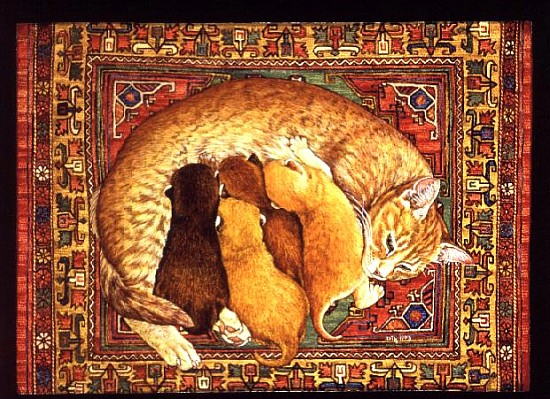 Carpet-Kittens  from Ditz 