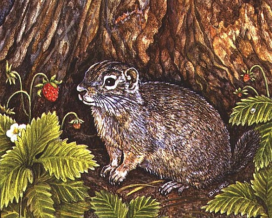Eagle Creek, Wild Strawberry, Ground Squirrel, 1995 (acrylic on panel)  from Ditz 