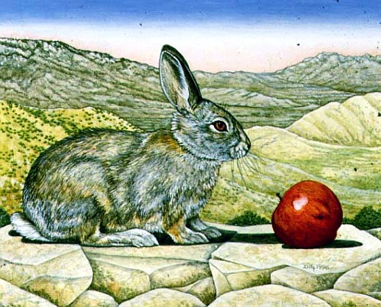 Jan Miller''s Cotton-Tail, 1996 (acrylic on panel)  from Ditz 