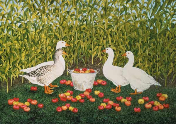 Sweetcorn-Geese  from Ditz 