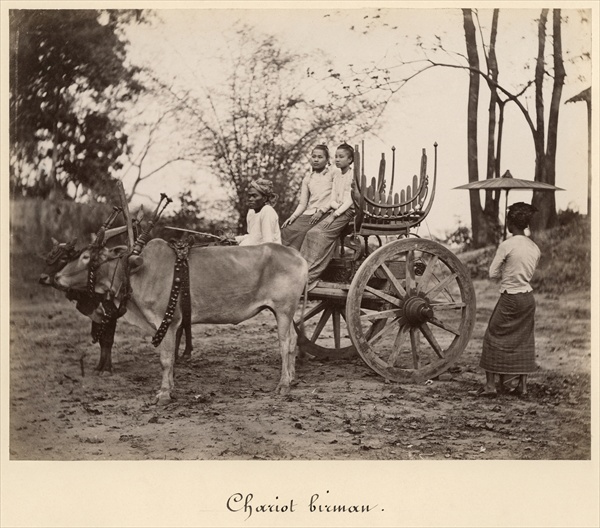 Cart pulled by two oxen at Mandalay, Burma, c.1885 (albumen print from a glass negative) (b/w photo) from English Photographer