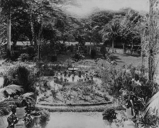 Garden of a Suburban Villa, Port of Spain, Trinidad from English Photographer