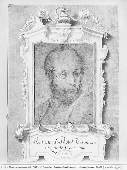Portrait of a man presumed to be Veronese (Paolo Caliari) (pierre noire on bluish paper) from Italian School