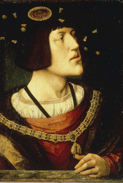 Charles V from van Orley