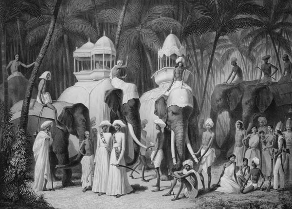 Elephants of the Raja of Travandrum, from 'Voyage in India' engraved by Louis Henri de Rudder (1807- from A. Soltykoff