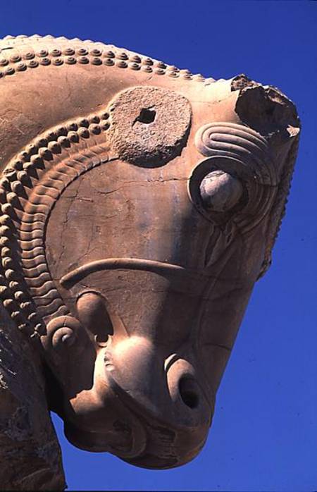 Bull's head on the northern portico of the Throne Hall of Xerxes from Achaemenid
