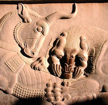 A ferocious lion attacking a bull, relief from the northern stairway facade of the Tripylon from Achaemenid