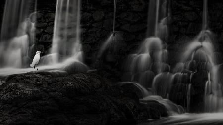 Der Geist des Wasserfalls