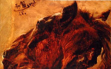Head of a Dead Horse from Adolph Friedrich Erdmann von Menzel