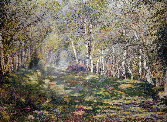 Silver Birches (oil on canvas) from Adriaan Josef Heymans