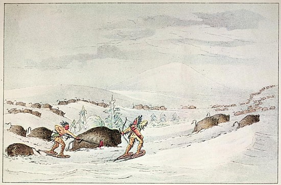 Hunting buffalo on snow-shoes from (after) George Catlin