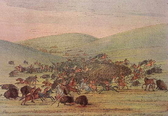 Minatarees attacking buffalo on horseback from (after) George Catlin