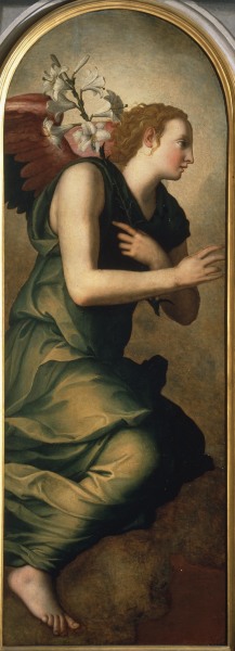A.Bronzino / Angel of Annunciation / C16 from Agnolo Bronzino