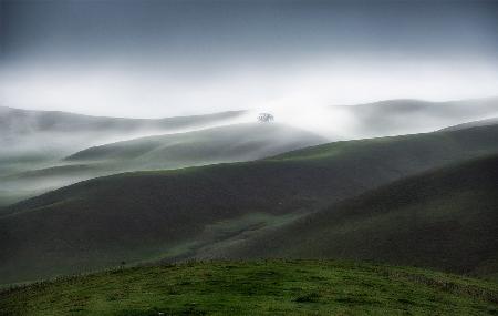 Sanfte Hügel und Nebel