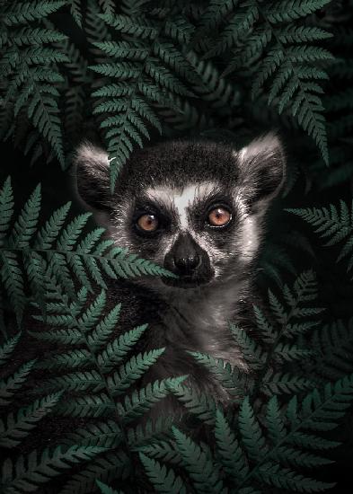 Lemur im Wald