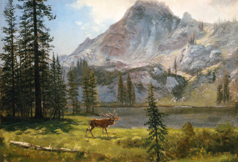 Call of the Wild from Albert Bierstadt