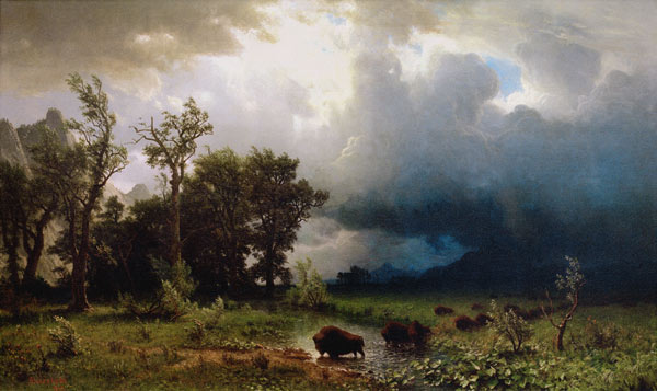Der drohende Sturm. Der letzte Bueffel. from Albert Bierstadt