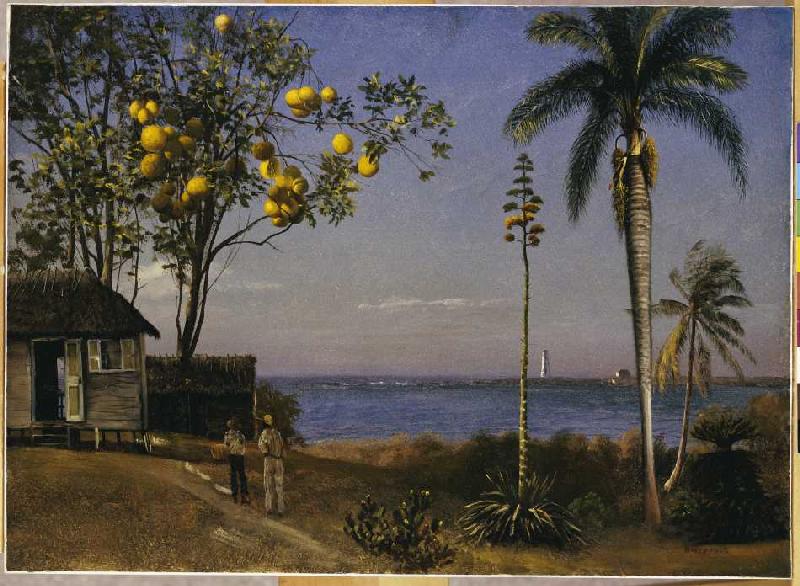 Tropische Landschaft. from Albert Bierstadt