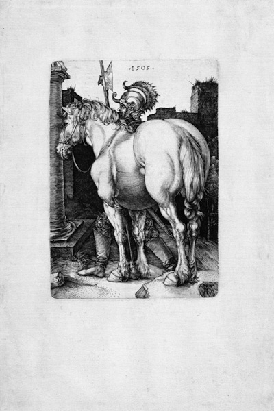 Das große Pferd from Albrecht Dürer