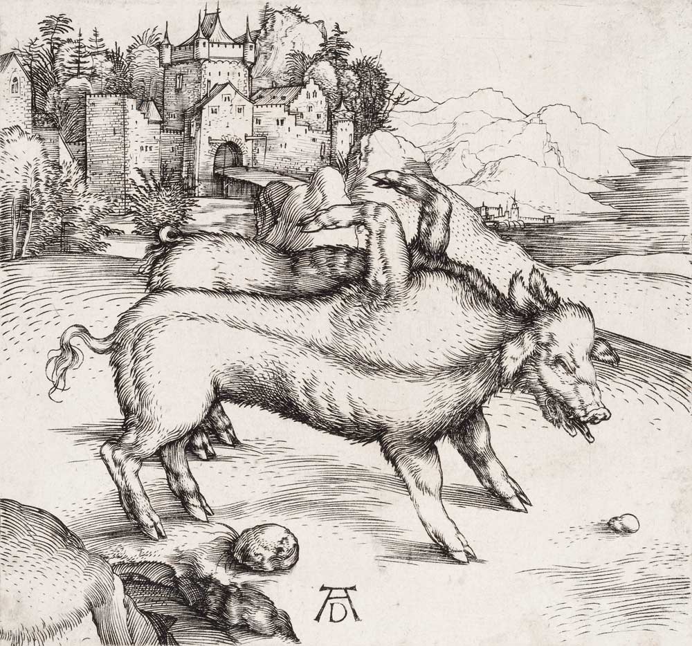 Die Missgeburt eines Schweins (Die wunderbare Sau von Landser) from Albrecht Dürer