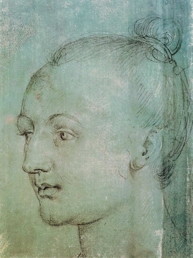 Head of a Young Woman from Albrecht Dürer