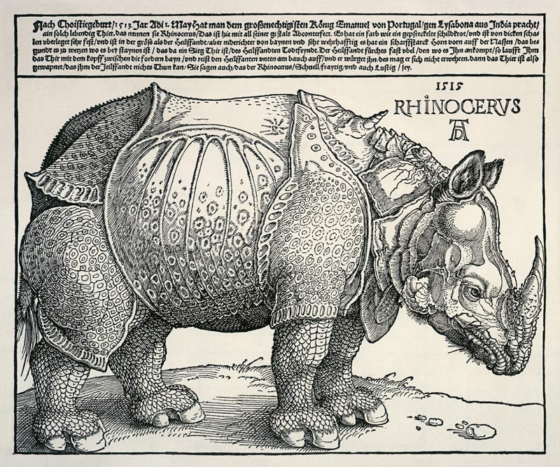 Nashorn from Albrecht Dürer