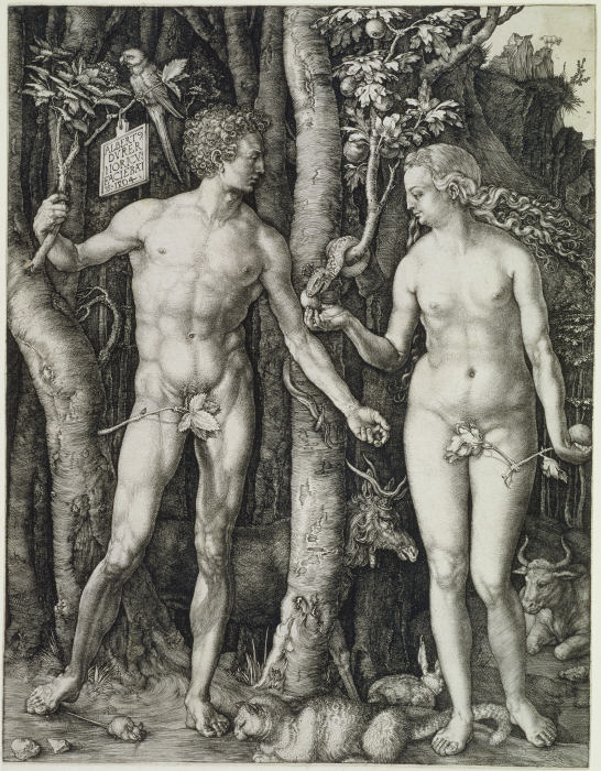 Adam und Eva (Der Sündenfall) from Albrecht Dürer