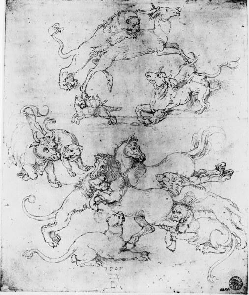A.Dürer, Study of Attacked Animals/1505 from Albrecht Dürer