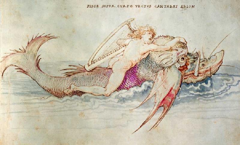 Der griechische Poet Arion reitet auf dem Delphin from Albrecht Dürer
