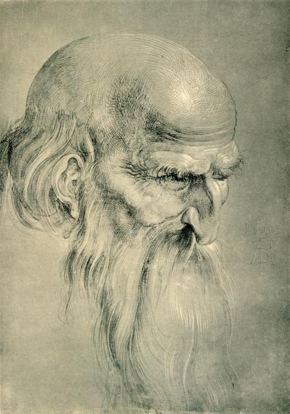 Head of an Apostles / Dürer / 1508 from Albrecht Dürer
