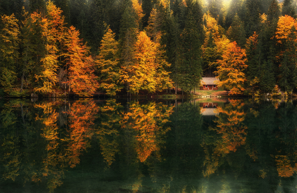Herbstimpressionen from Ales Krivec