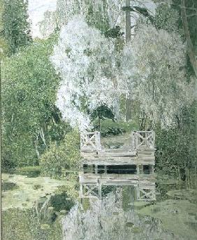 Silver White Willow