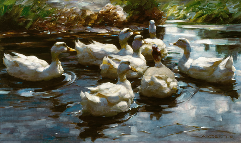 Ducks in the pond from Alexander Koester