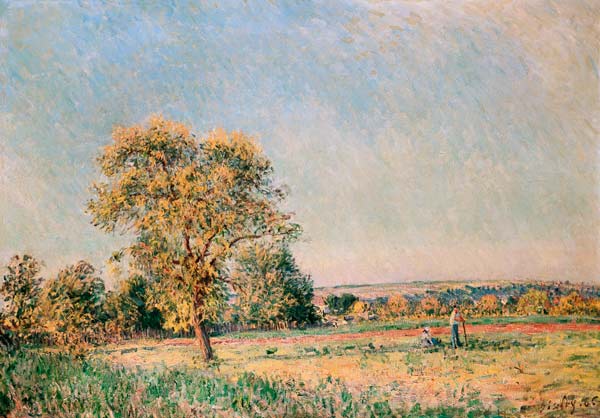 Sommerlandschaft mit großem Baum. from Alfred Sisley