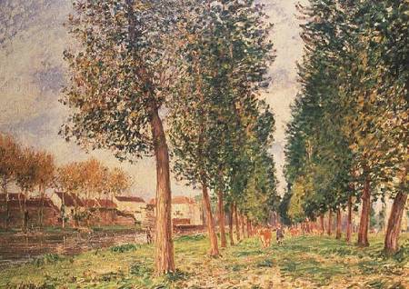 The Poplar Avenue at Moret, Cloudy Day, Morning from Alfred Sisley