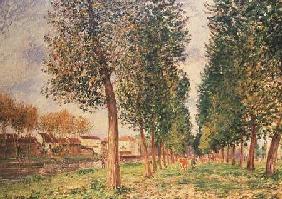 The Poplar Avenue at Moret, Cloudy Day, Morning