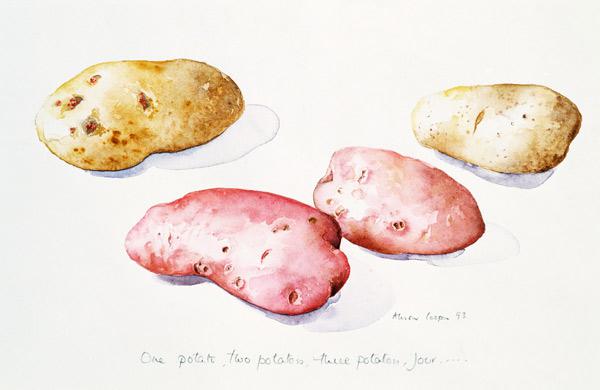 Potato Study, 1993 (w/c) 