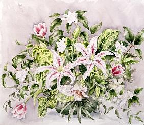 Still life with Tiger Lilies, 1996 (w/c) 