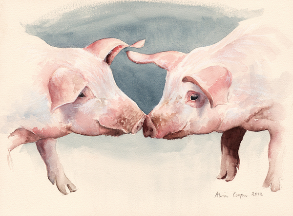 Two Little Piggies from Alison  Cooper