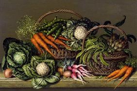 Basket of Vegetables and Radishes