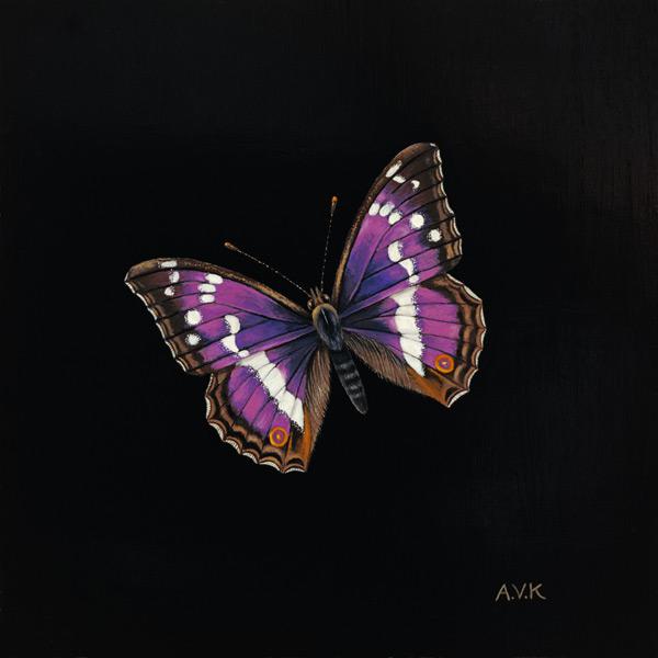 Purple emperor butterfly