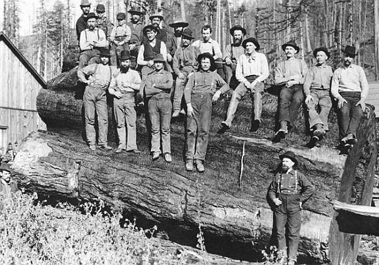 Woodcutters in California from American Photographer
