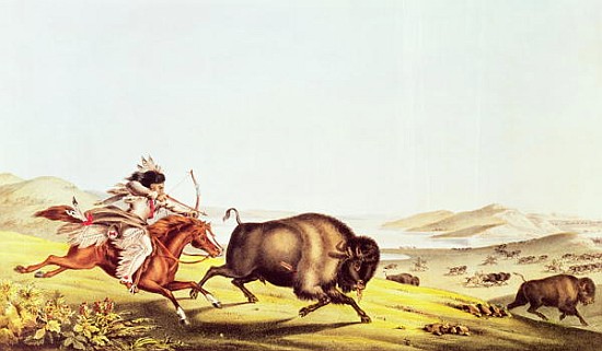 Hunting the Buffalo from American School