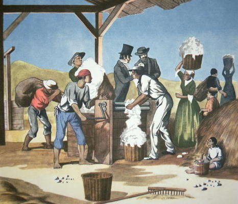 Eli Whitney's (1765-1825) Cotton Gin, operated by black slaves, 1793 (colour litho) from American School, (18th century)