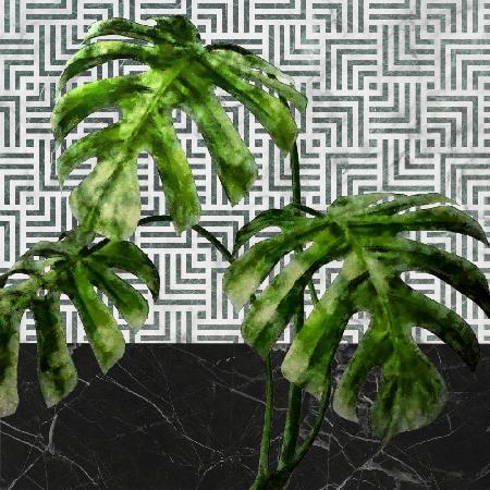 Monstera-Blätter an gefliester Wand